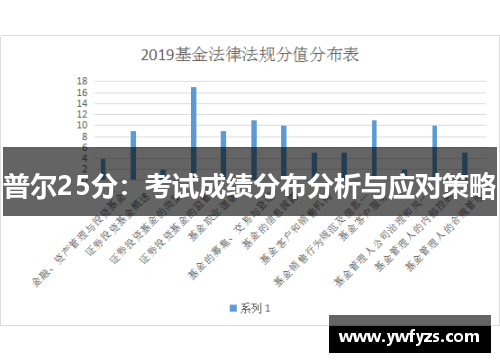 普尔25分：考试成绩分布分析与应对策略